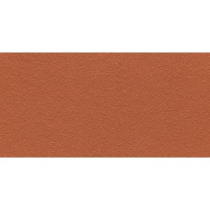 Технічна плитка для підлоги Stroeher STALOTEC 215 red, 240x115x10 мм