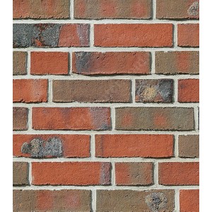 Клинкерный кирпич Roben WIESMOOR rotblau-bunt, NF 240x115x71 мм